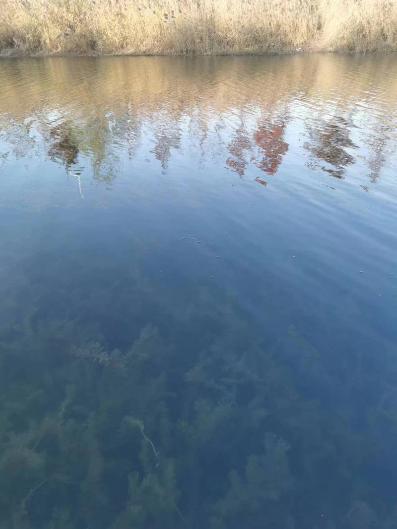 豐縣歡口鎮(zhèn)東營子河上游水生態(tài)修復工程