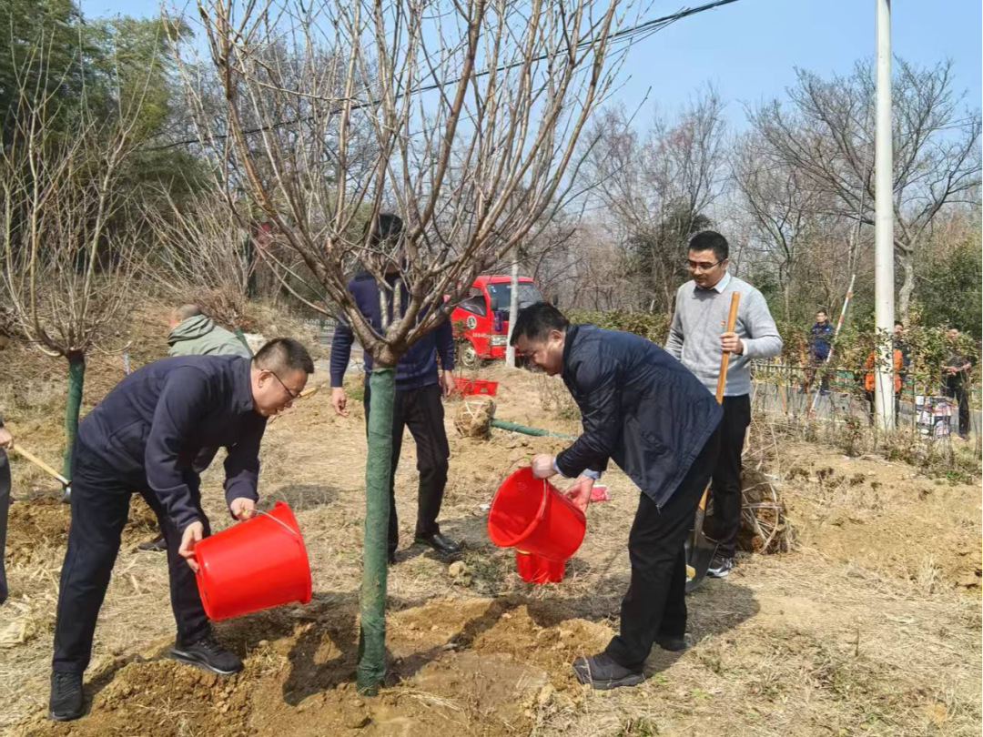 “黨建紅”引領方向 “生態綠”鋪就未來——生態環境、自然資源和林業三方共同開展植樹節暨主題黨日活動