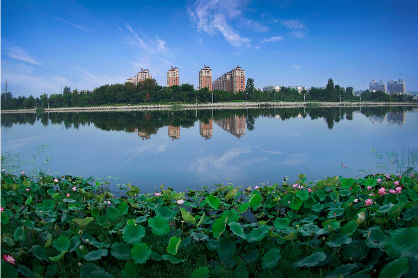 黃河故道邊，荒灘變成了生態(tài)樂園